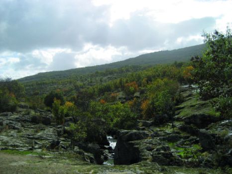 Vistas del río Lozoya